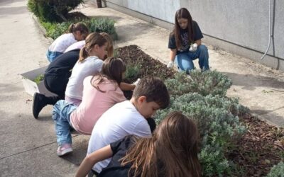 Mali vrtlari uredili školski okoliš