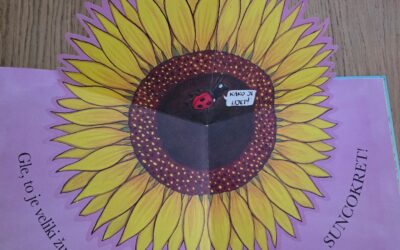 BUDI I TI NEKOME SUNCOKRET